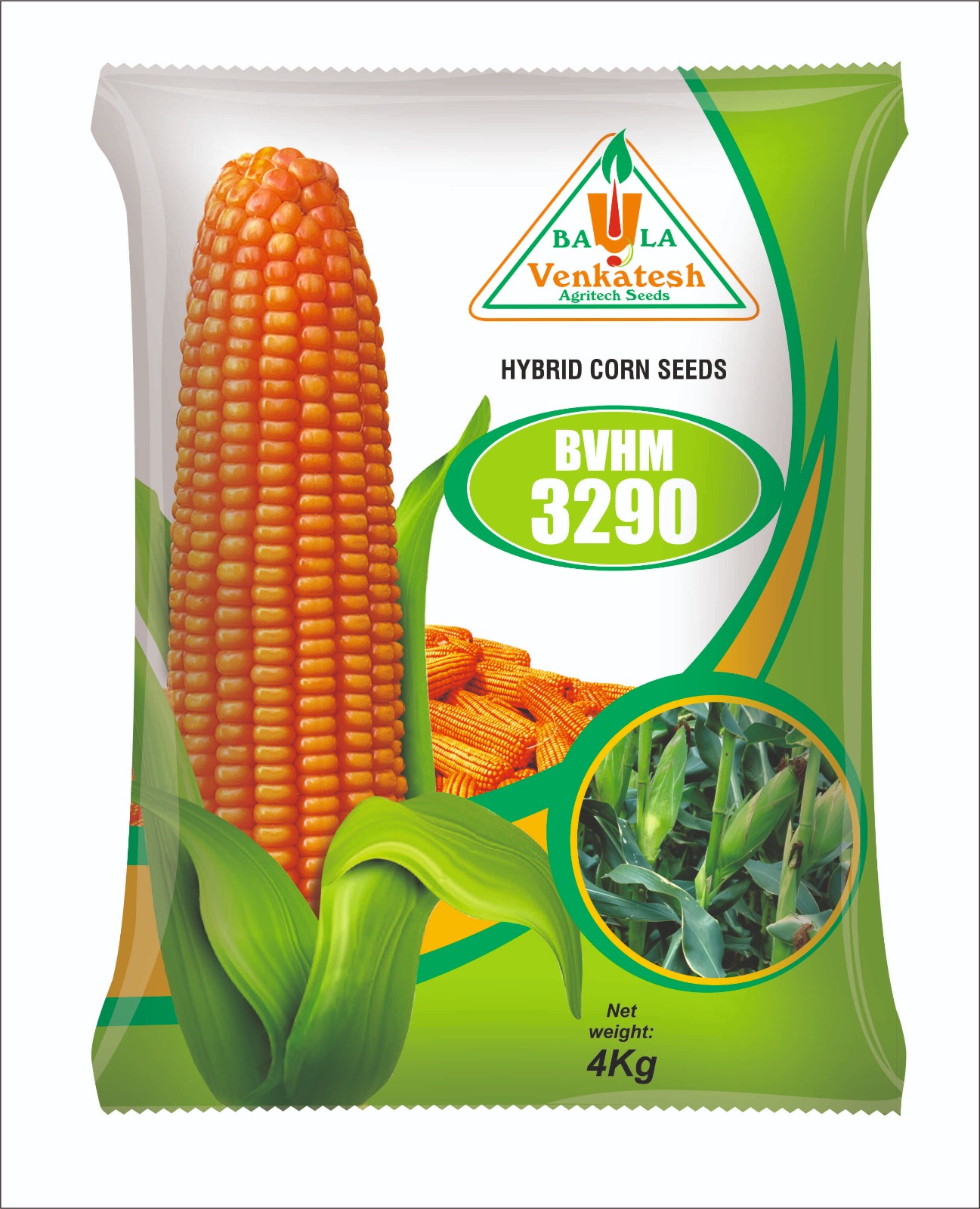 Hybrid Corn Seeds (BVHM 3290)
