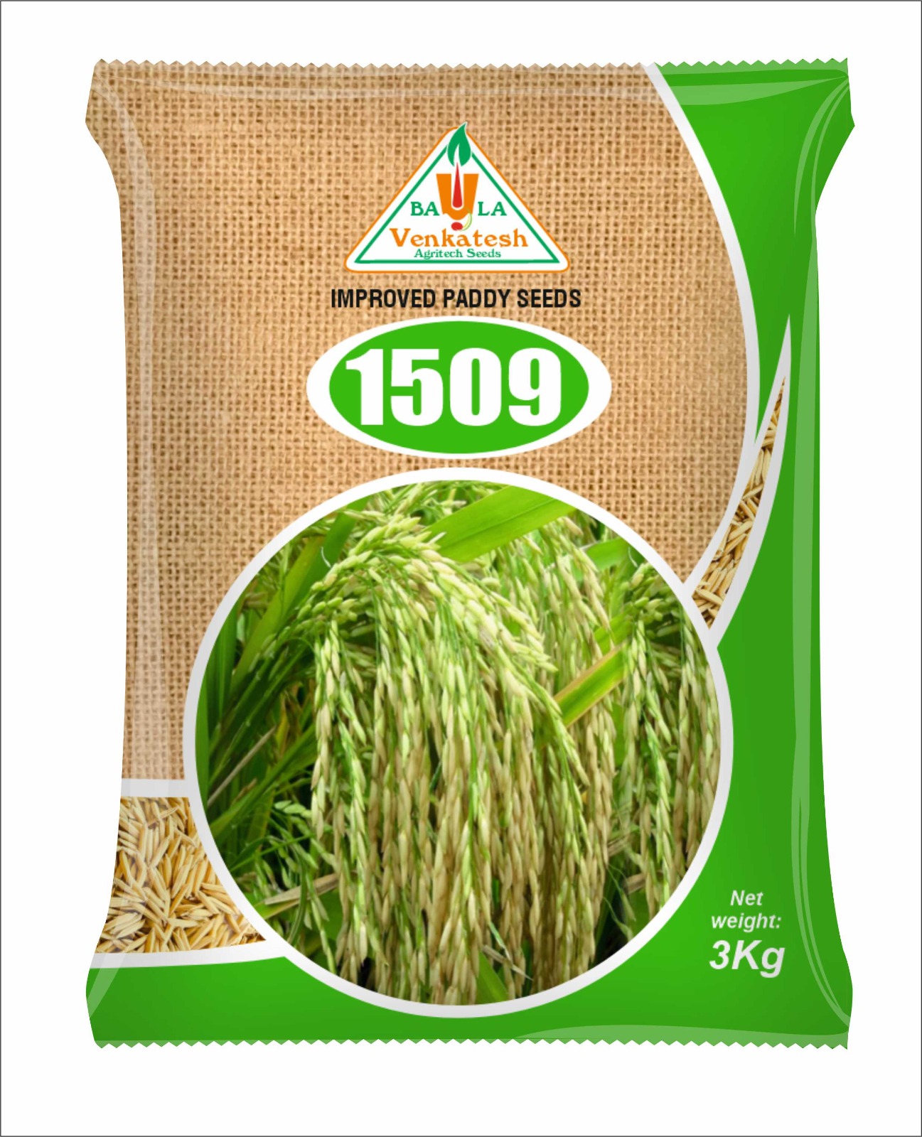 Improved Paddy Seeds 1509