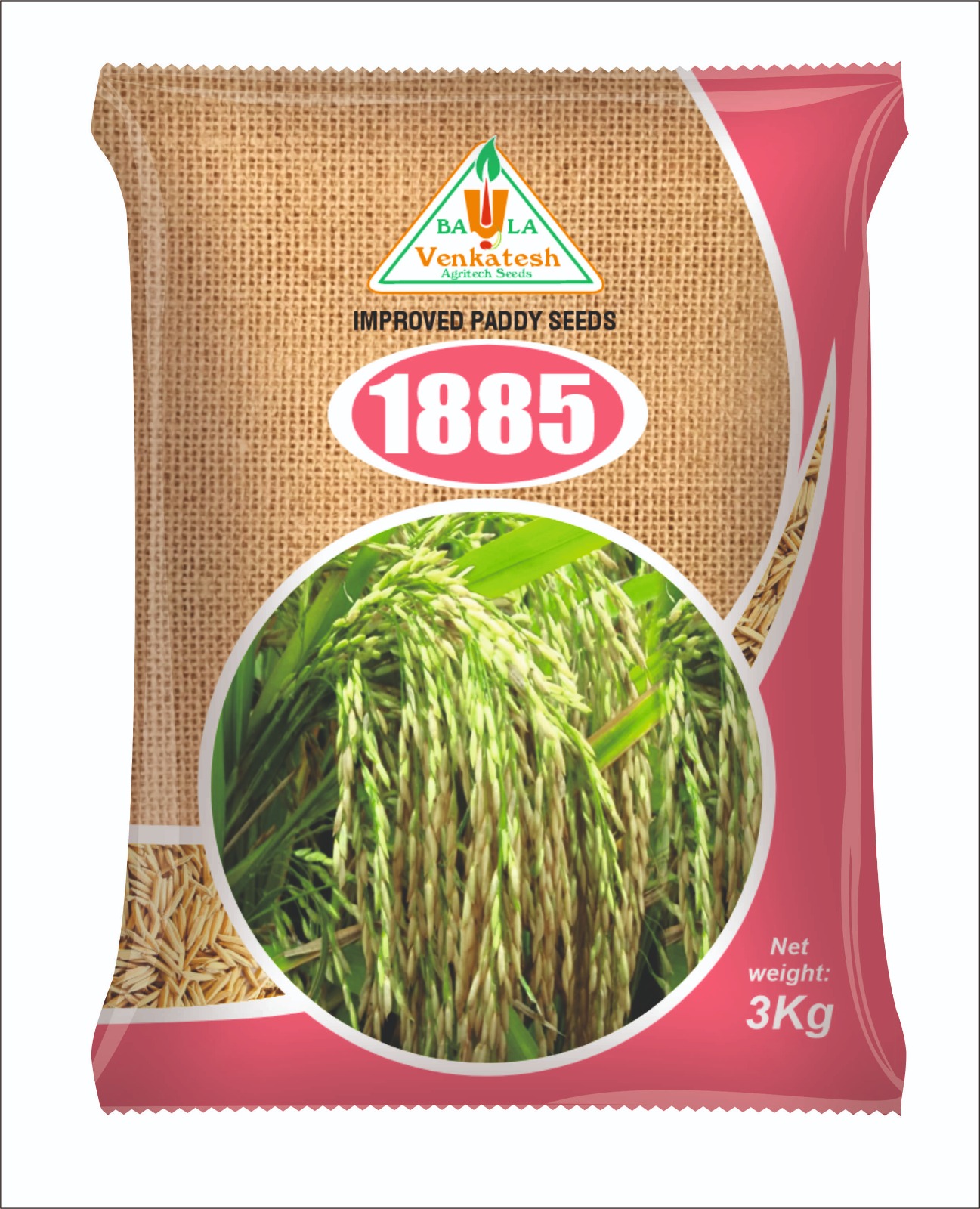 Improved Paddy Seeds 1885
