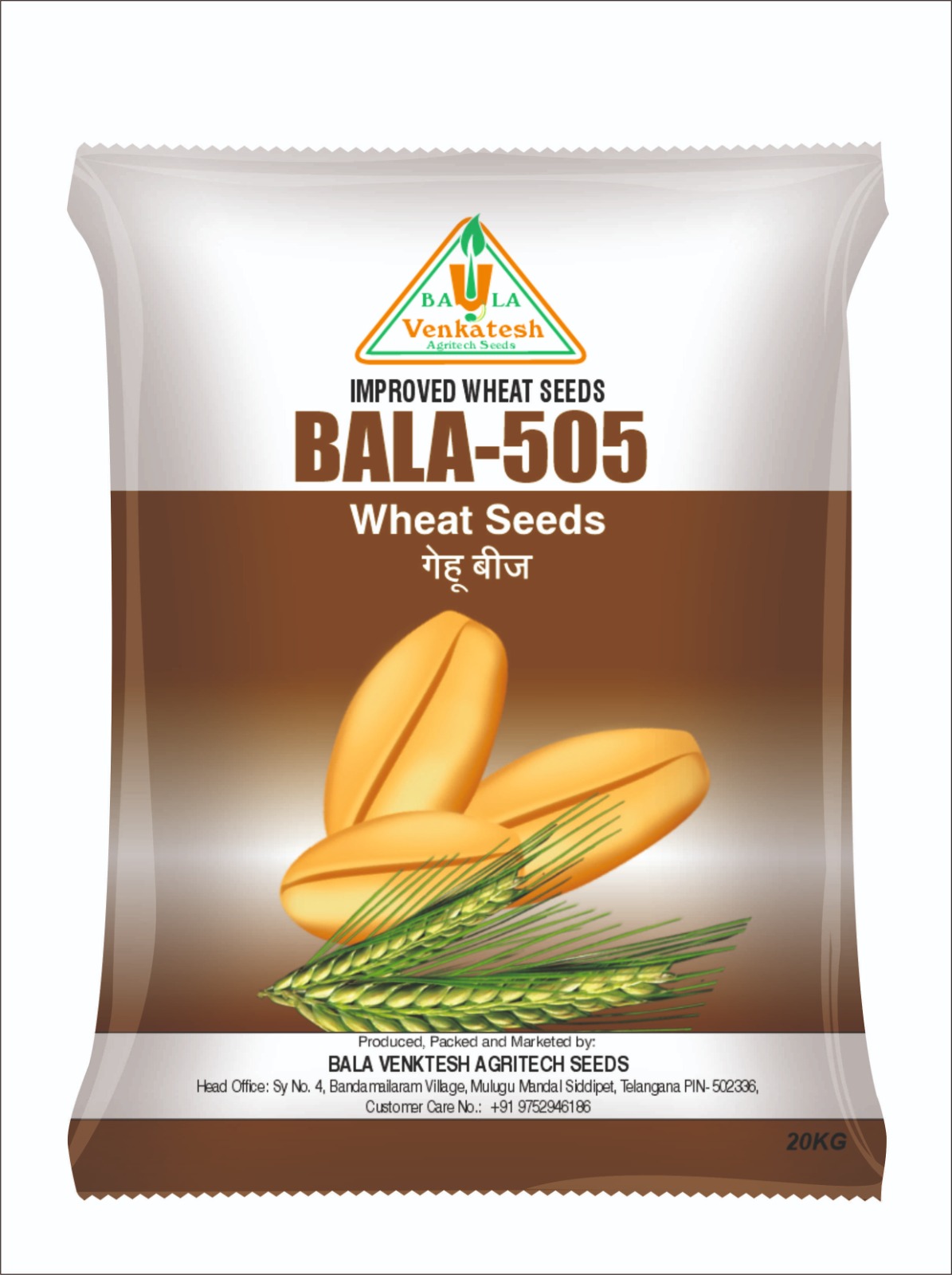 Bala 505 Wheat Seeds