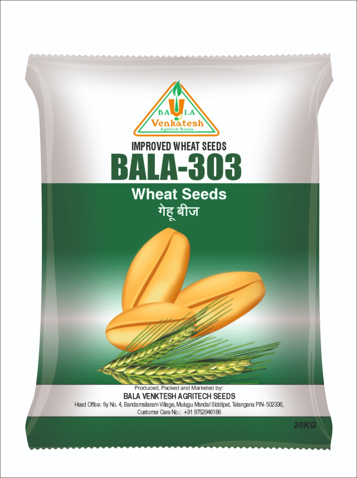 Bala 303 Wheat Seeds