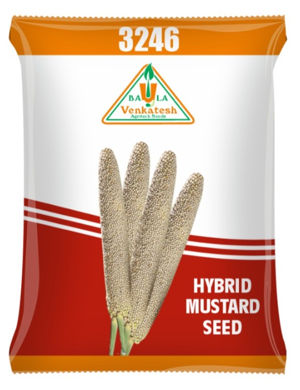 3246 Hybrid Mustard Seeds