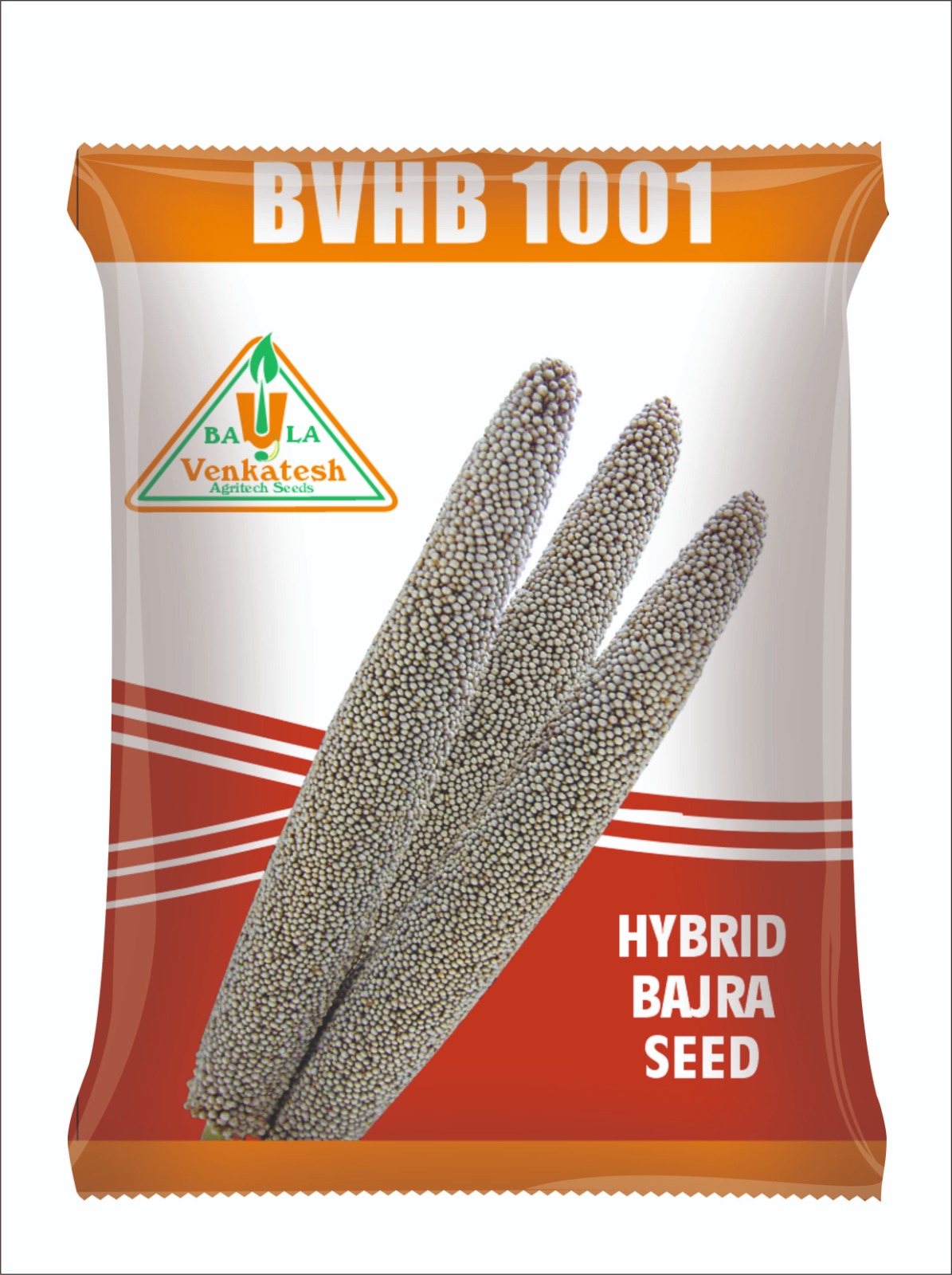 BVHB 1001 HYBRID BAZRA SEEDS